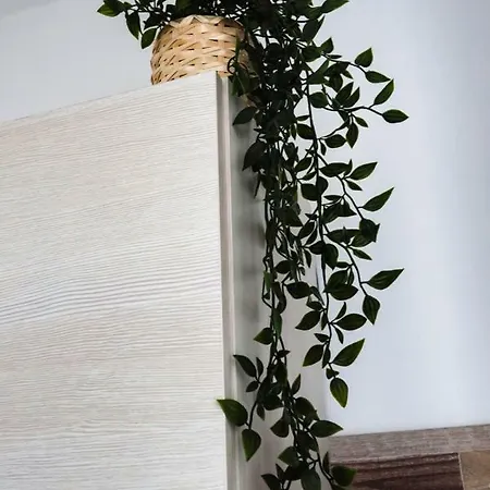 Frühstückspension Corso Italia 92 Catania