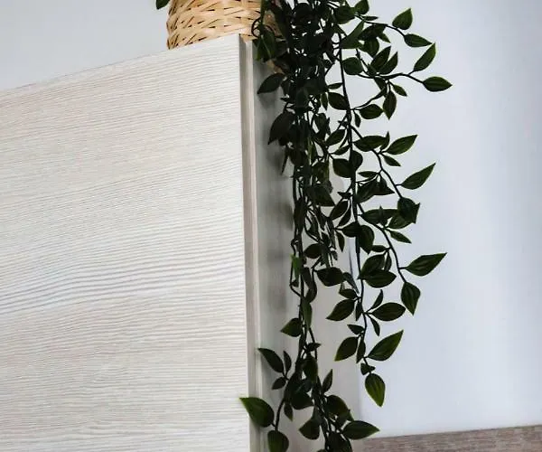 Alojamento de Acomodação e Pequeno-almoço Corso Italia 92 Catânia